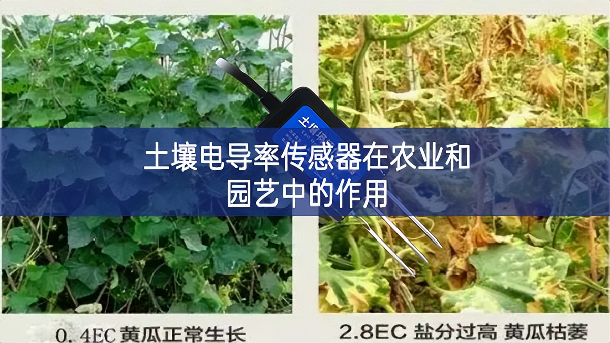 土壤電導(dǎo)率傳感器在農(nóng)業(yè)和園藝中的作用