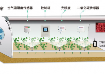 智能溫室大棚組成部分